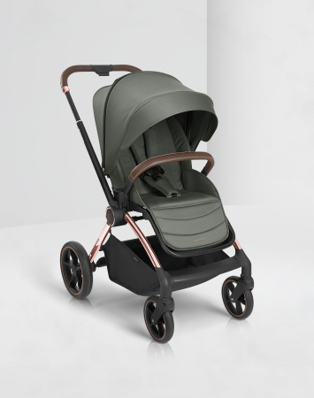 العربات والكراسي 